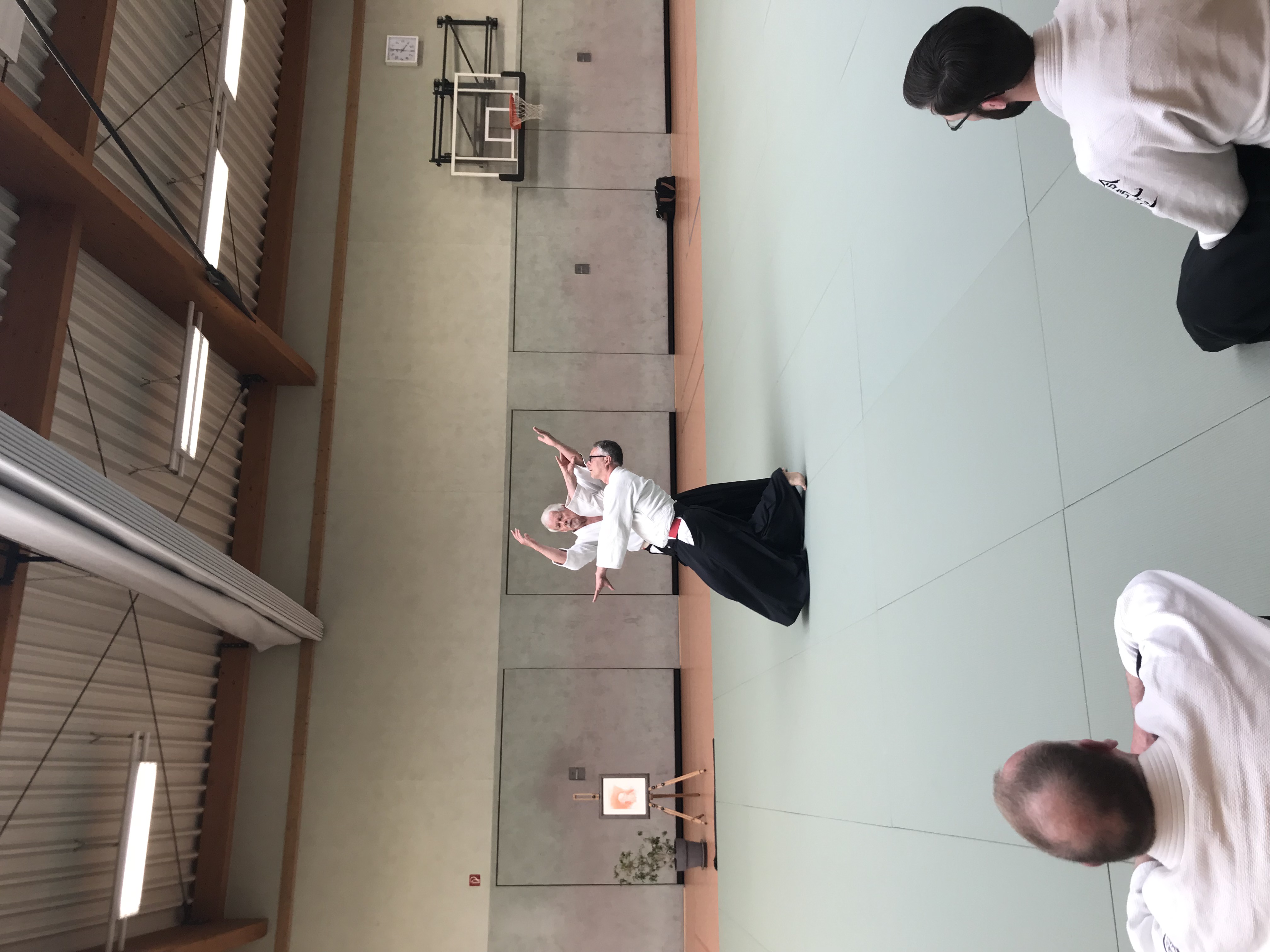 IMG 0217 4032x 3024
